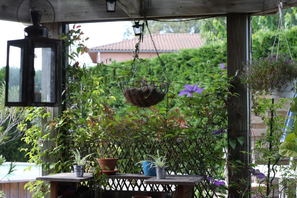 Calme Et Nature, Ba Gujan-Mestras Kamer foto